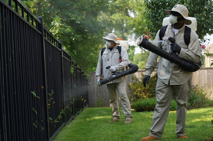 comment faire fuir les moustiques dans un jardin ou à la terrasse produits anti moustiques