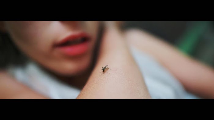 comment se débarrasser des moustiques avant la piqûre utiliser un spray anti moustique