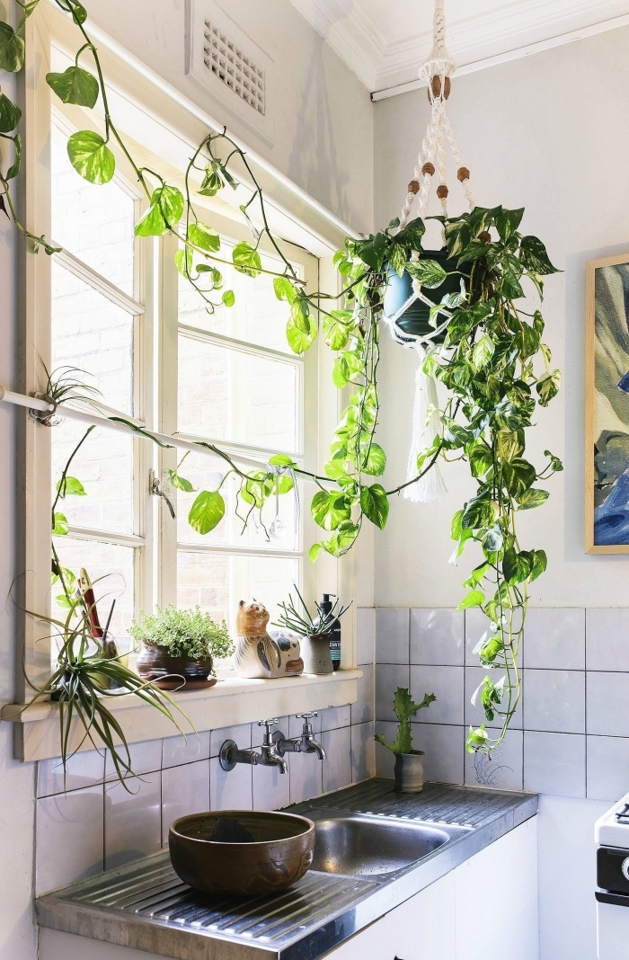 déco petite cuisine fenêtre plante tombante intérieur clips muraux suspension macramé pour plante