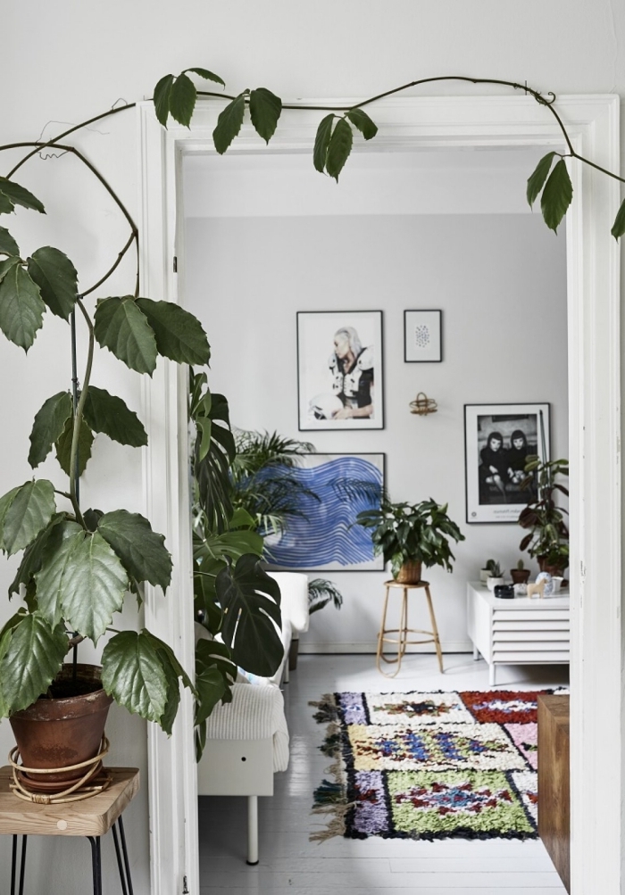 les plus belles plantes d intérieur design intérieur boho moderne scandinave style canapé blanc tapis coloré