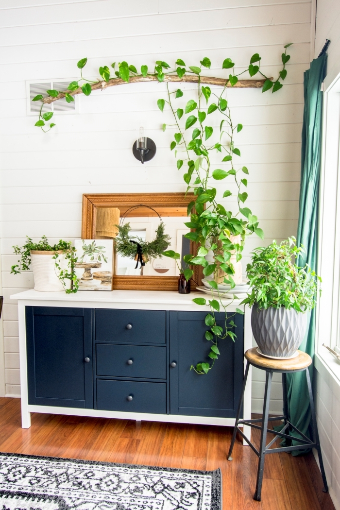 plante tombante intérieur commode bleu et noir miroir cadre bois rideaux verts pot fleur gris