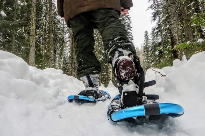 randonnée raquette idée activité sportive hiver marche dans la neige pour découvrir la montagne