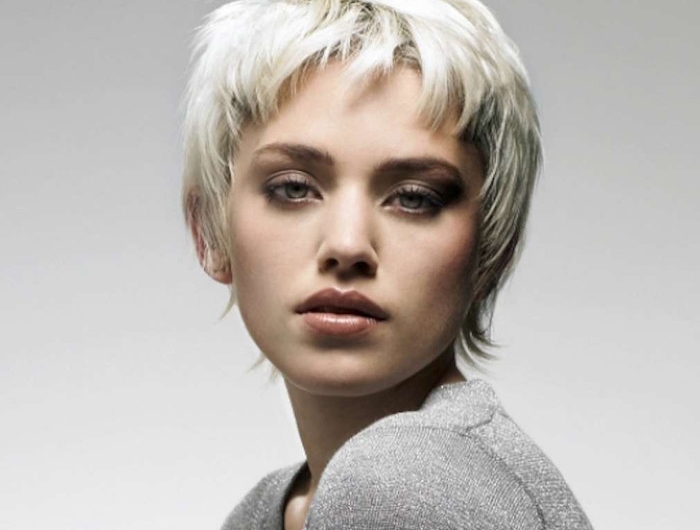 short gray hairstyles fresh 16 gray short hairstyles and haircuts for women 2017