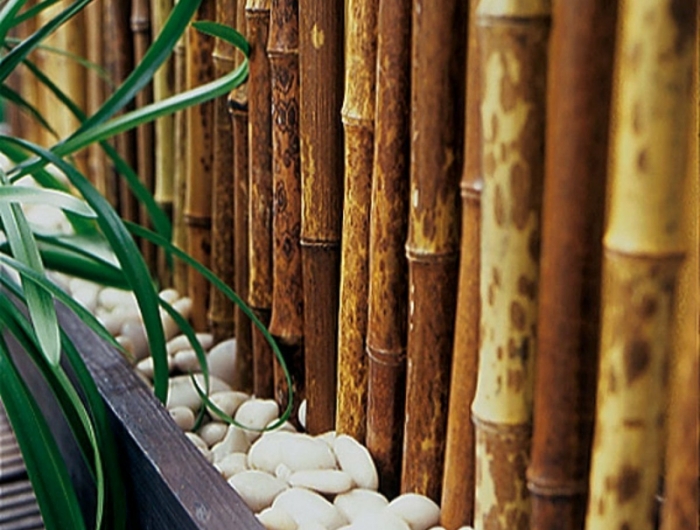 brise vue vegetal bambou qui brise la vue et décore la terrasse