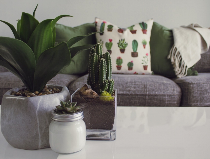 canapé de qualité en gris foncé coussins en vert bouteille et blanc déco de plantes vertes