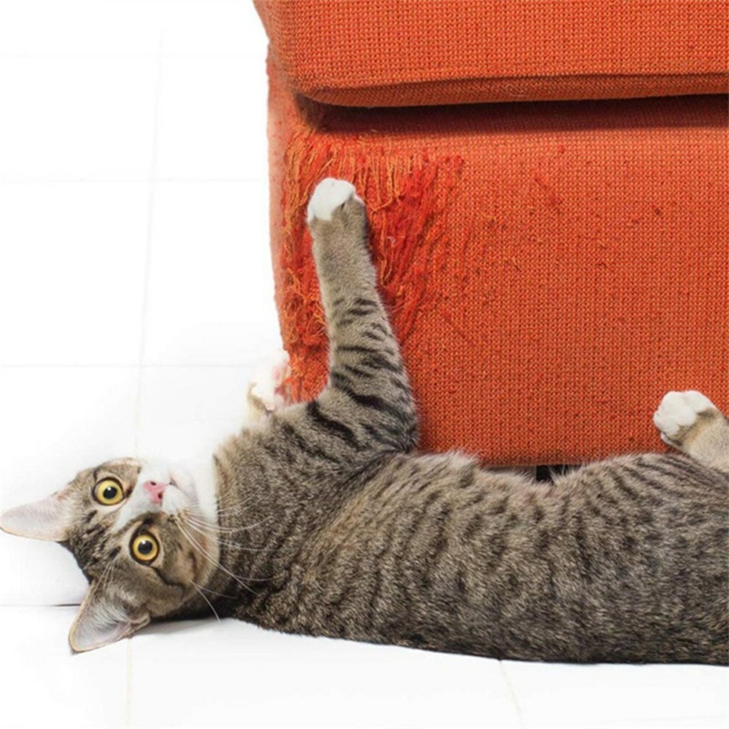 comment éloigner les chats un chat qui détruit un fauteuil