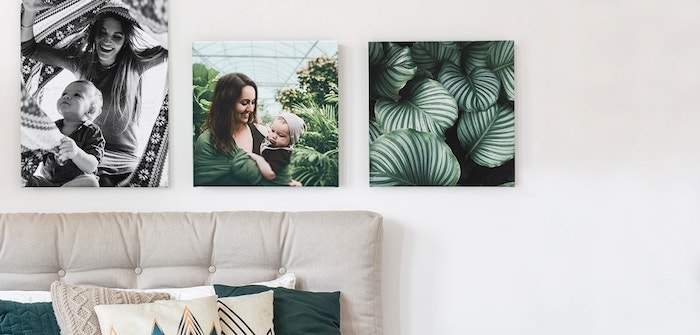 des photos de famille imprimées sur toile déco noir et blanc et plantes vertes
