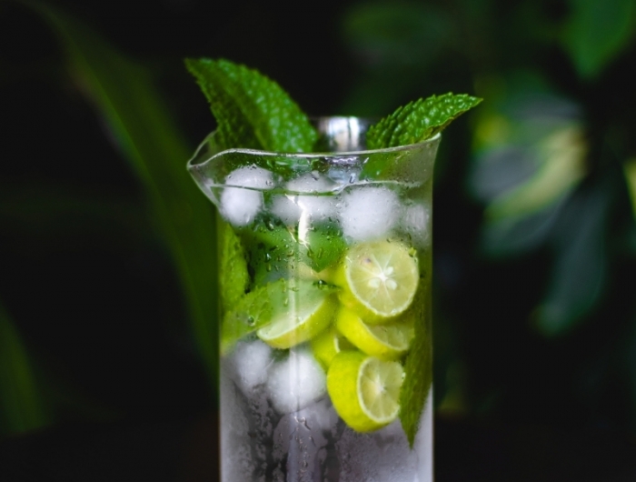 glaçons citron vert morceaux mojito maison soda menthe fraîche