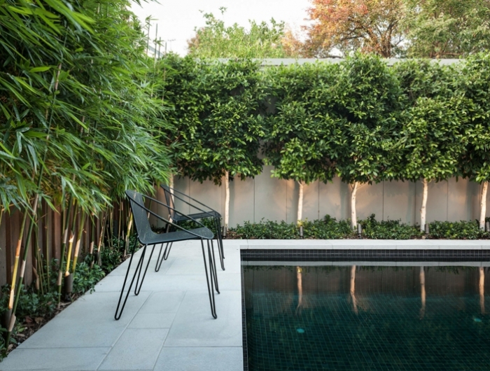 jardin avec piscine bambou comme une haie