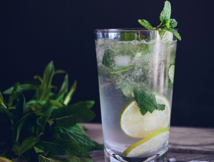 mojito sans alcool recette eau gazeuse tranches de citron vert verre