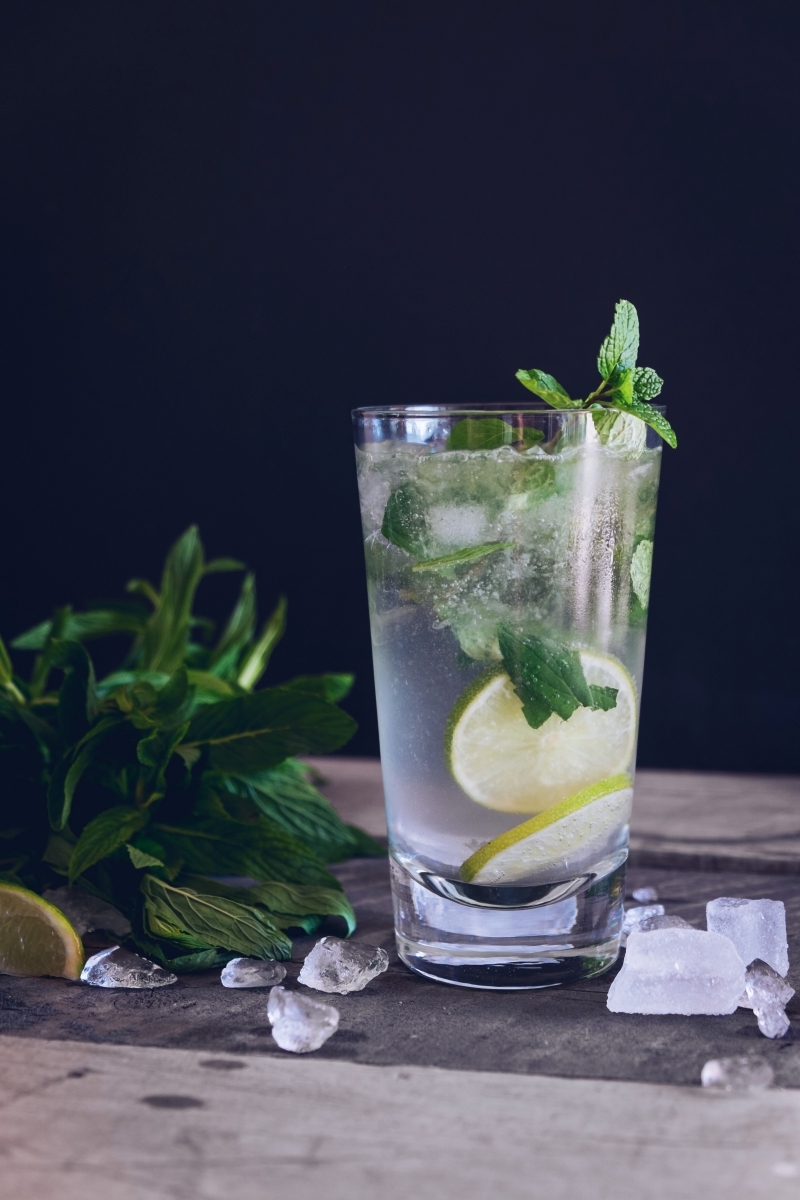 mojito sans alcool recette eau gazeuse tranches de citron vert verre