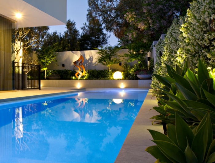 plante bord de piscine jasmin étoilé grimpant comme une haie de piscine