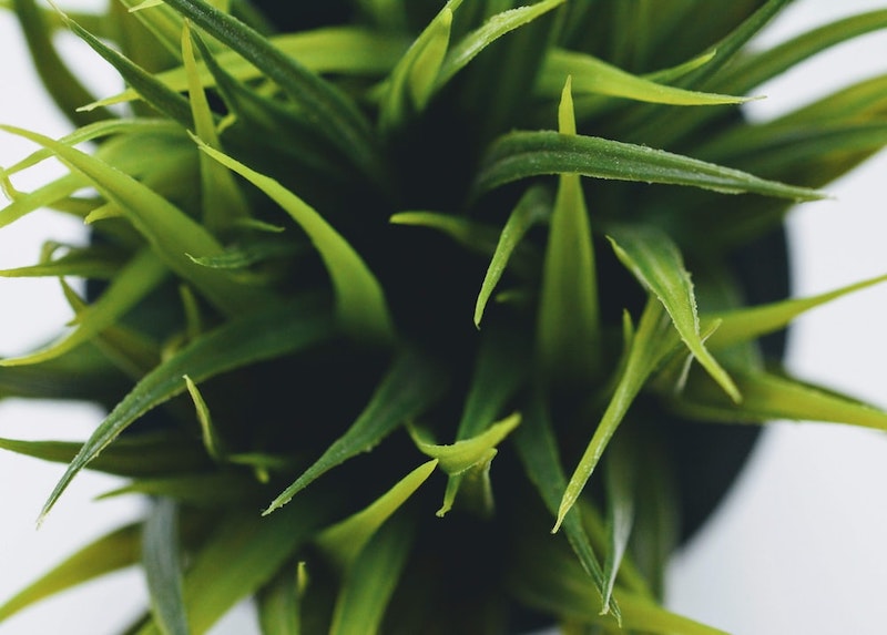 plante verte artificiel pour votre deco vegetale