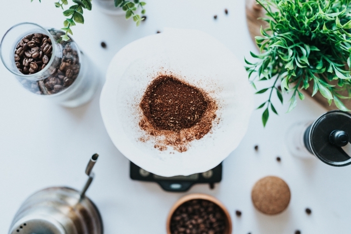 que faire contre les cafards marc de café utilisation graines café herbes outils cuisine