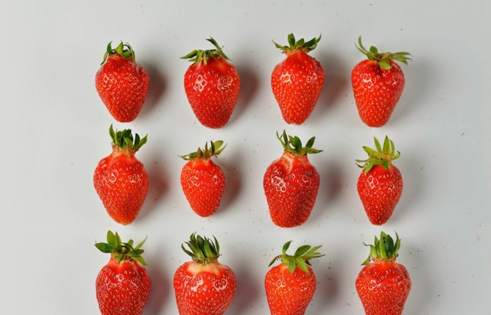 sorbet fraise fraises sur une plaque pour faire un sorbet