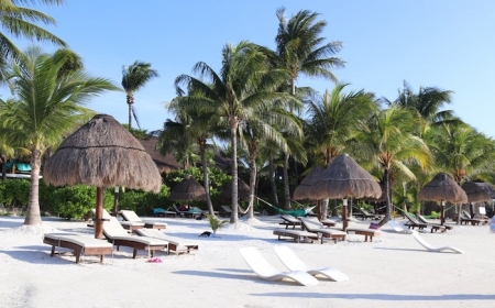 voyager au mexique idée de plage avec chaise longues et parasol de paille palmiers