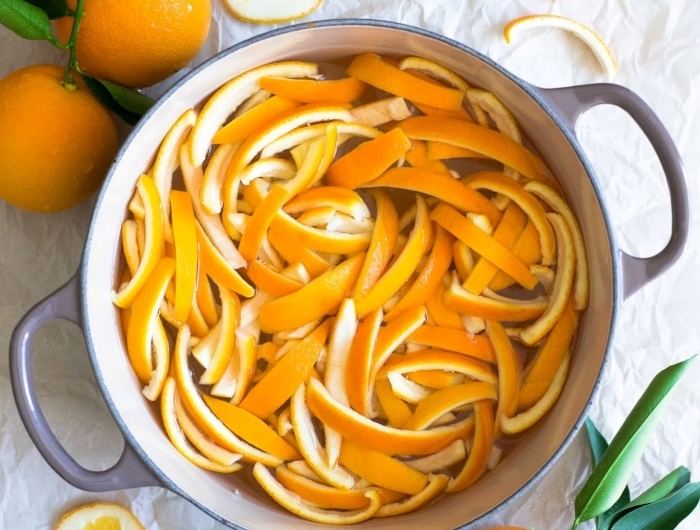 zeste orange casserole eau bouillante mélange anti fourmis maison avec fruits repulsifs insectes