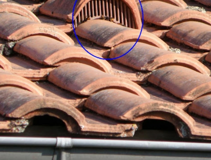 anti pigeon balcon plaque bouche tuiles pour le toit