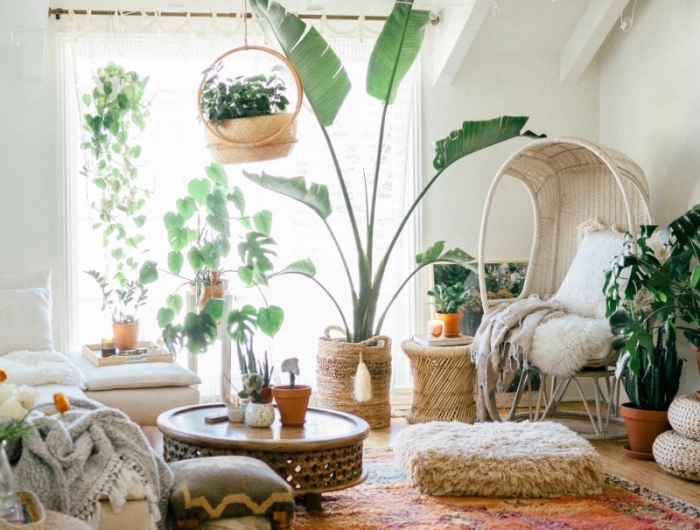 boho chic intérieur décoration avec plantes vertes salon cocooning chaleureux