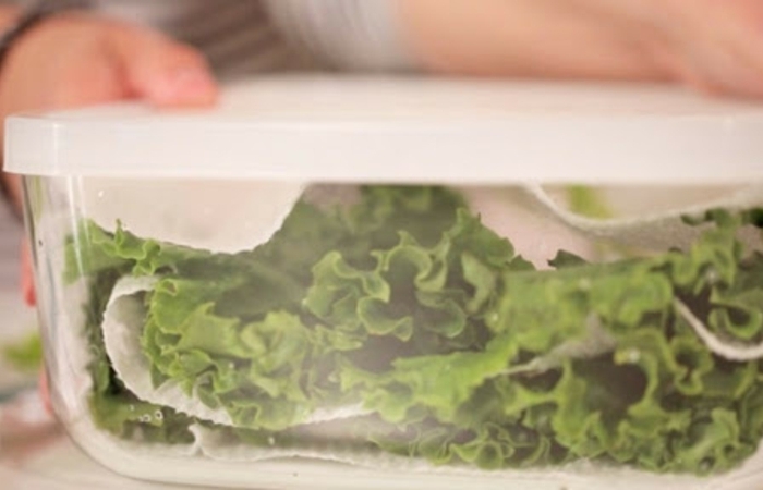 boite conservation salade conserver la laitue dans un récipient scellé