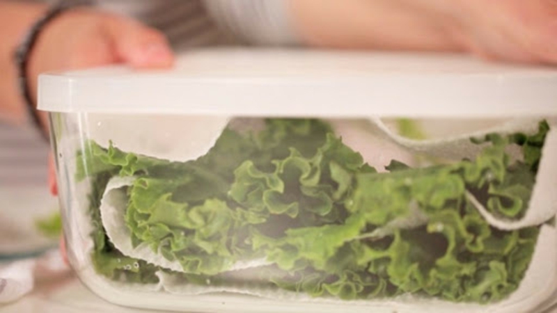 Salad storage box store lettuce in a sealed container