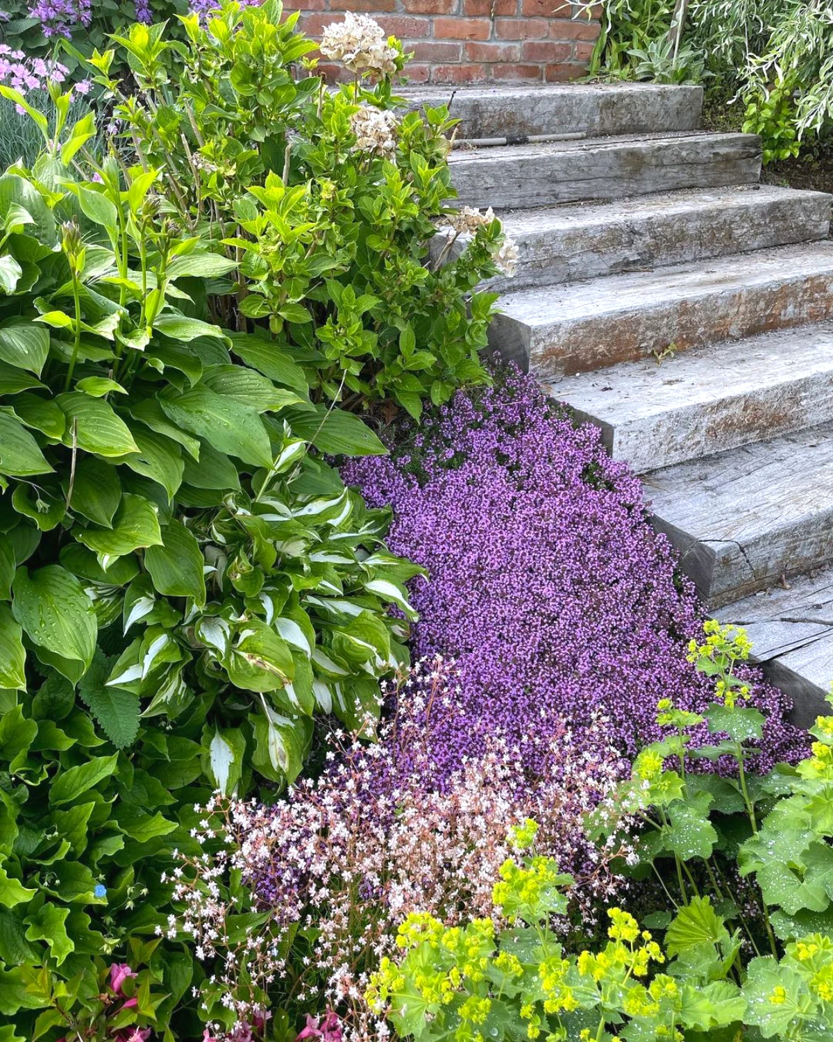 comment amenager un jardin en pente escalier en bois couvre sol fleurs violettes arbustes