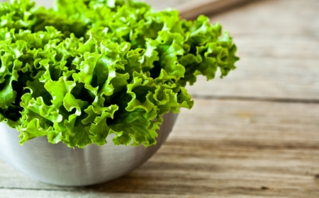 comment conserver la salade salade verte dans un bol