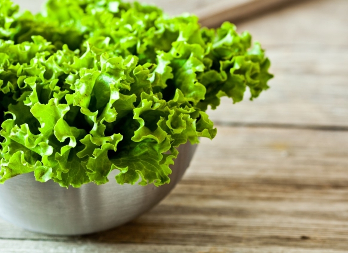 comment conserver la salade salade verte dans un bol