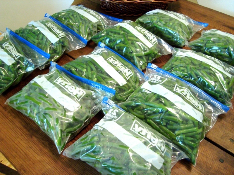 congeler haricots verts des haricots verts dans des paquets