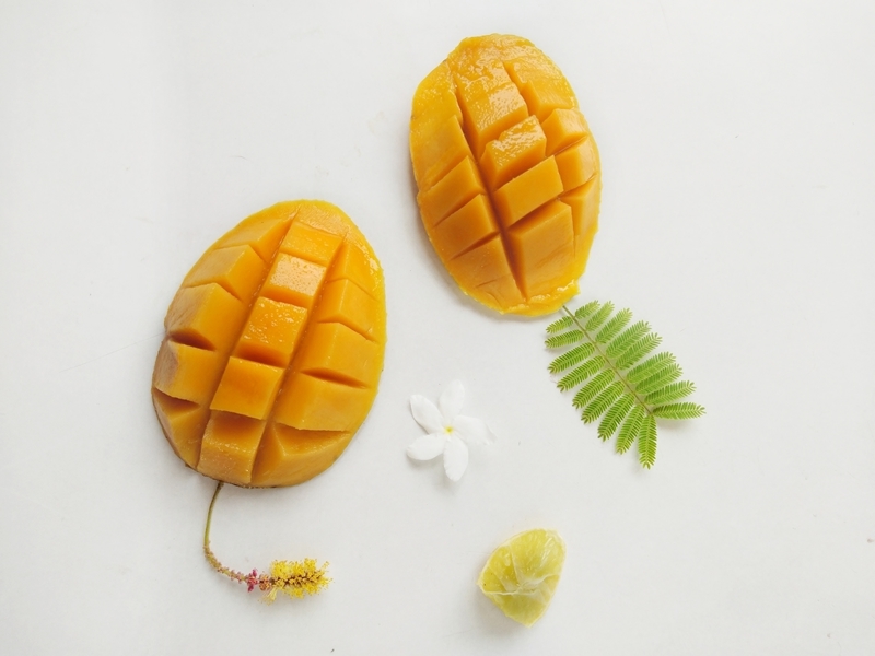 conseils pour faire germer un noyau de mangue