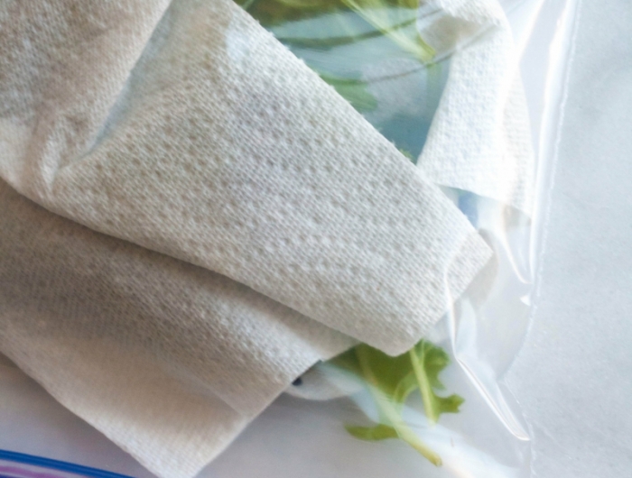 conservation salade en sachet serviettede de papier et salade verte