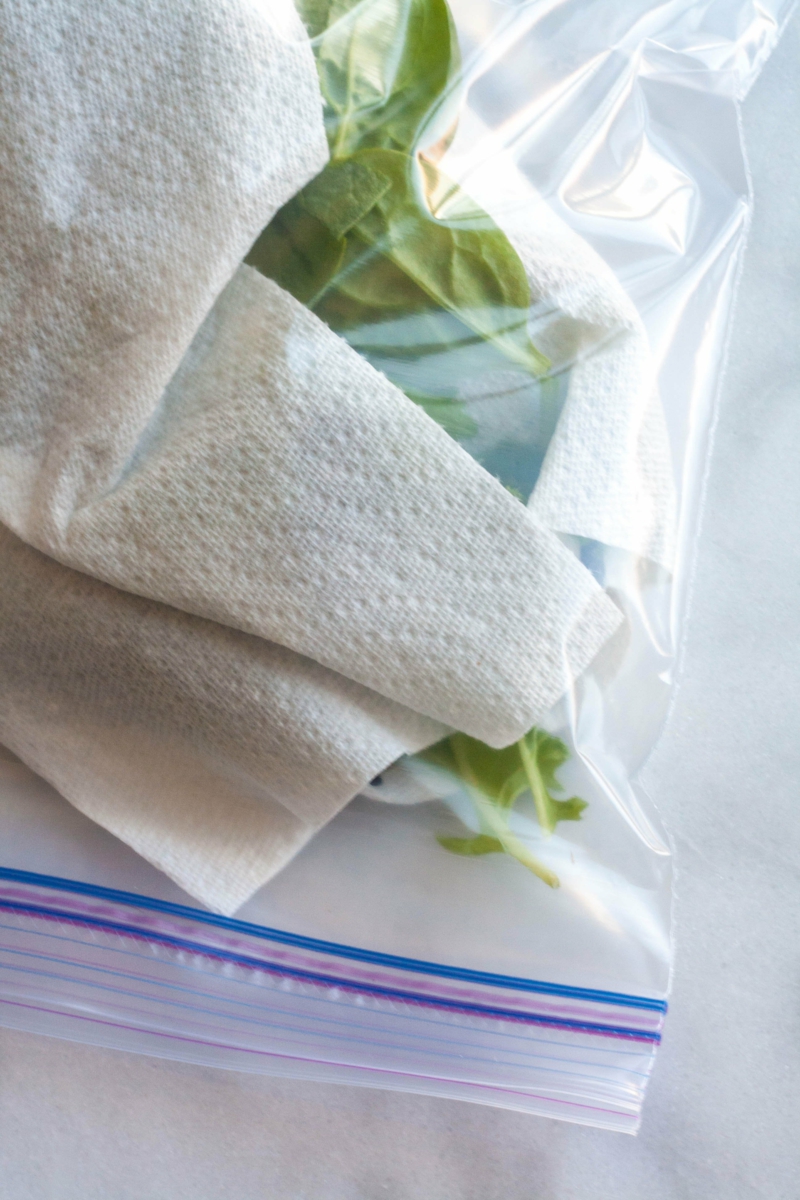 preservation of lettuce in paper towel bag and green lettuce
