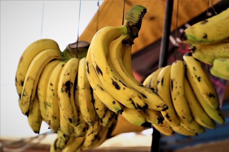 consommation bananes trop mures danger bienfaits santé