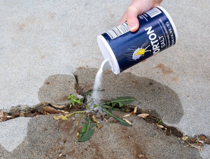 désherbant fait maison du sel pour désherber une allée de jardin