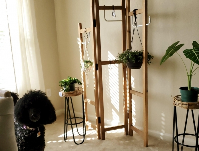 décoration intérieure salon avec suspension pour plante interieur porte manteau bois