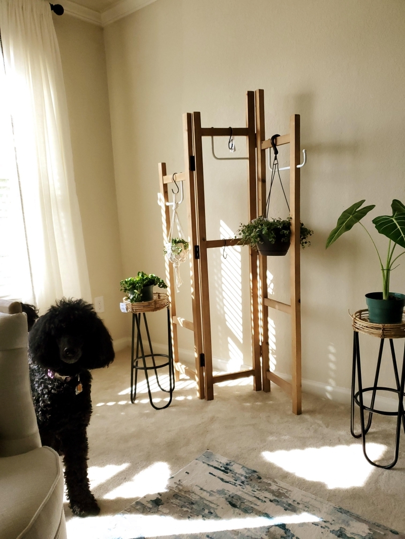 décoration intérieure salon avec suspension pour plante interieur porte manteau bois