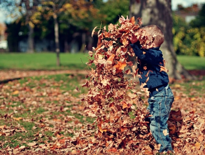 enfant qui joue dans les feuilles d automne