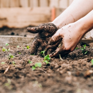 Engrais naturel : 8 idées simples à tester pour nourrir son jardin ou ses plates d'intérieur