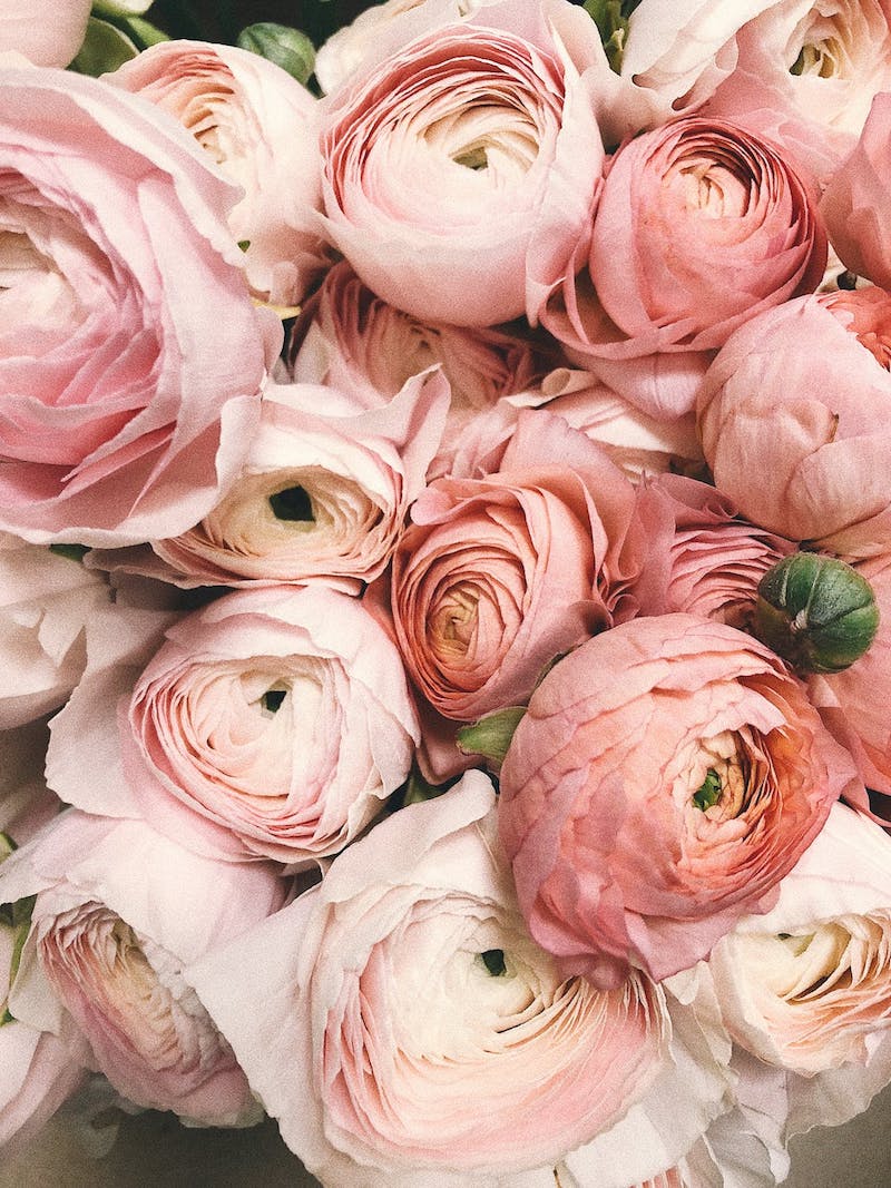 idee cadeau mariage bouquet de pivoines roses