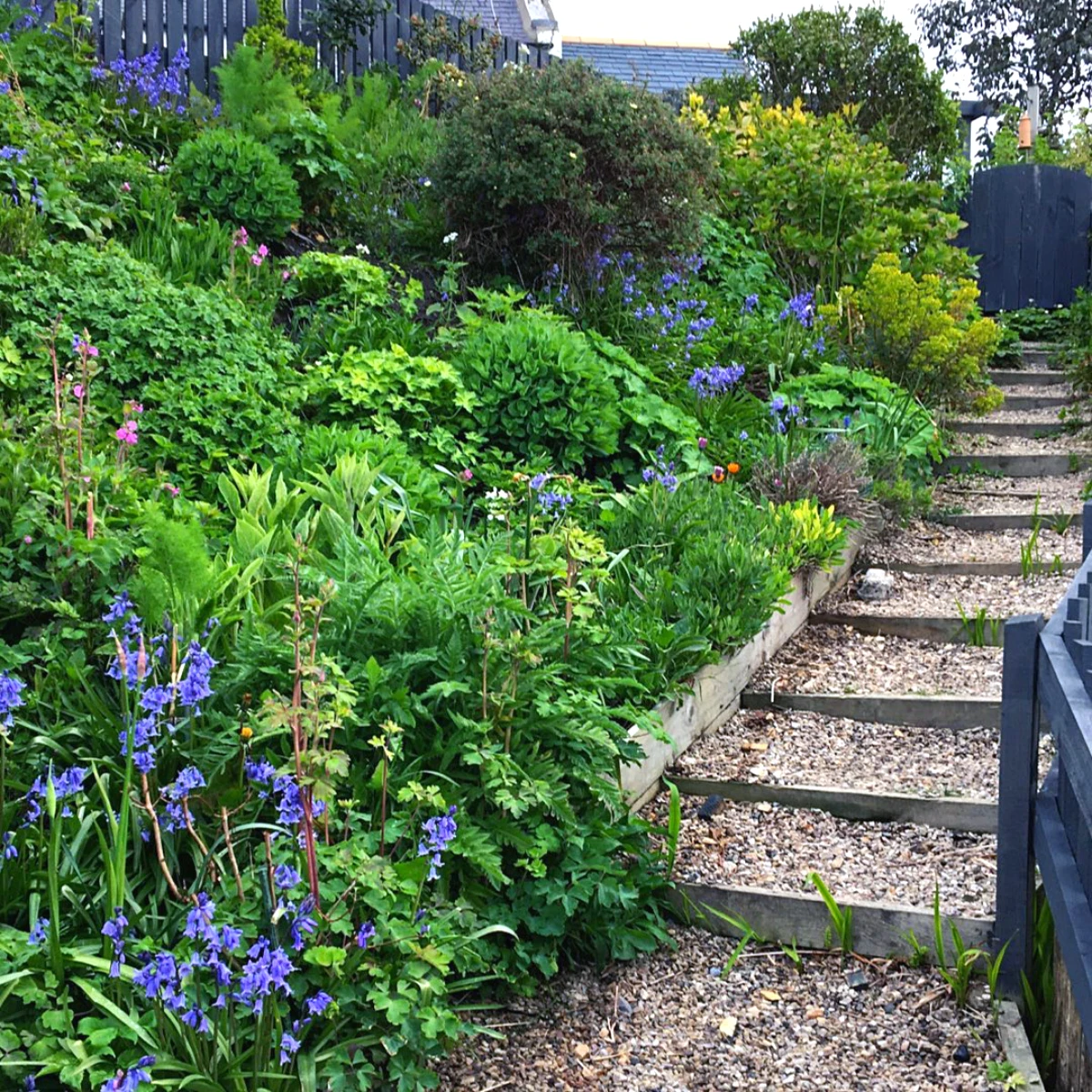 jardins en pente solution plantes vertes escalier fleurs