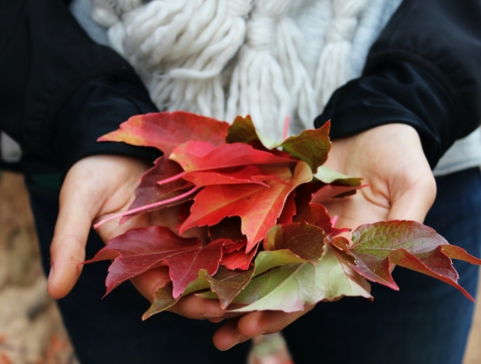 ongle rouge mat les feuilles multicolores de l automne