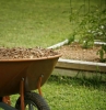 paillage de jardin une brouette pleine de paillage dans le jardin