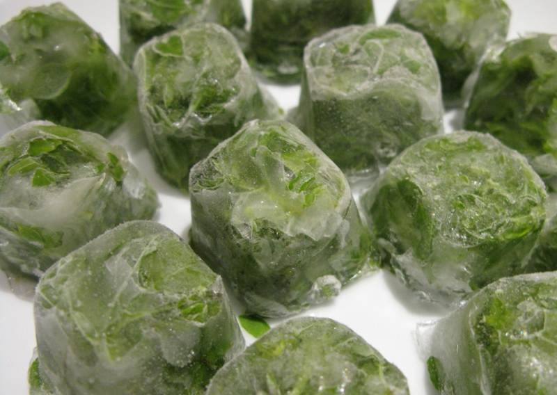 is it possible to freeze salad green salad ice cubes
