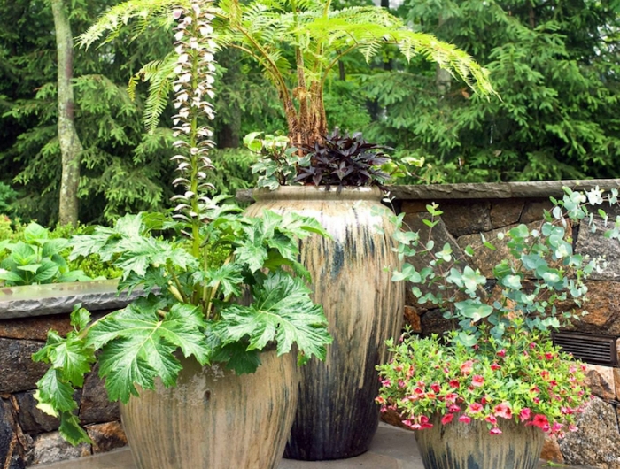 11 most essential container garden design tips designing a in pot plant garden ideas
