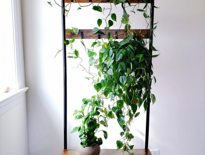 plante tombante intérieur meuble de rangement vertical planche cadre métal
