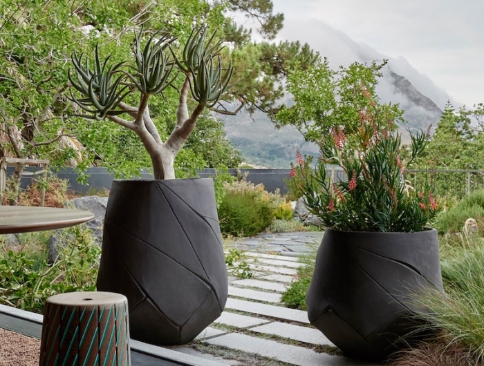plantes pour terrasse ensoleillée en grands pots