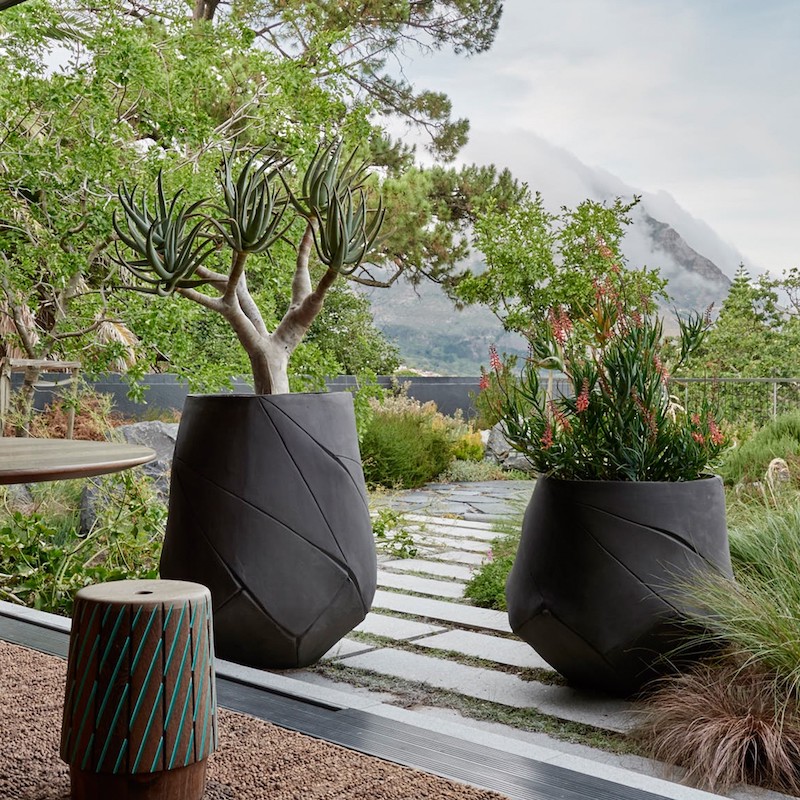 plantes pour terrasse ensoleillée en grands pots