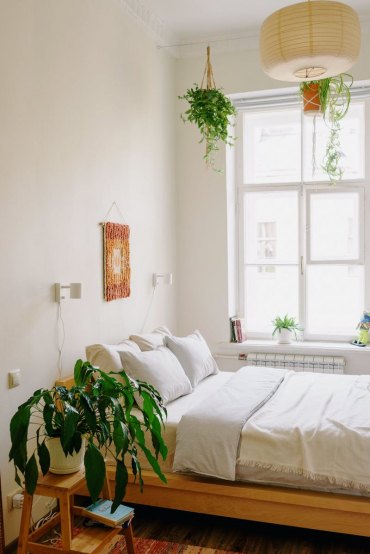 plusieurs plantes dans une chambre cocooning orientale originale