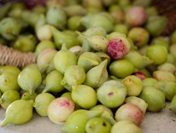 quel est le fruit le plus riche en vitamine la prune de kakadou
