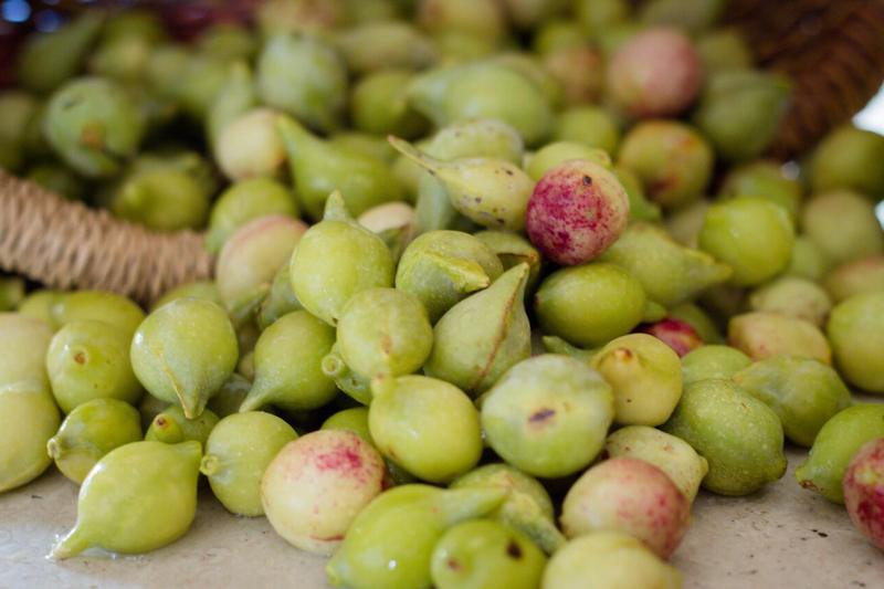 quel est le fruit le plus riche en vitamine la prune de kakadu